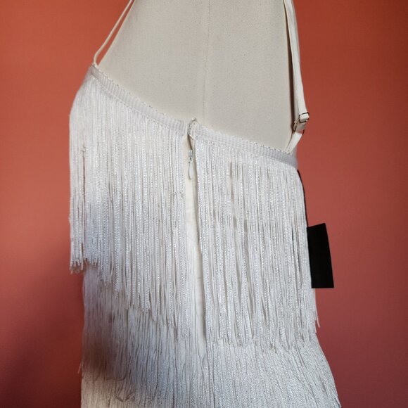 LE LIS Fine in Fringe Dress - Size: Small - Picture 4 of 12